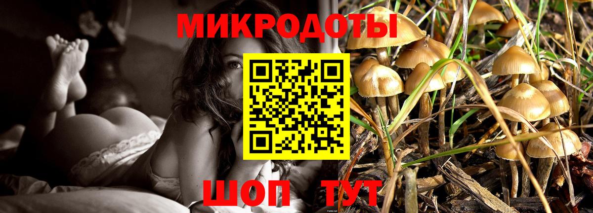 Чернушка  Псилоцибиновые грибы MAGIC MUSHROOMS  Вход с VPN 